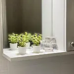Blue Oasis Loft بوخارست