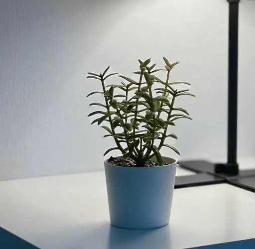 Blue Oasis Loft 布加勒斯特